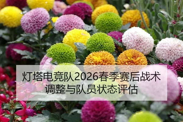 灯塔电竞队2026春季赛后战术调整与队员状态评估